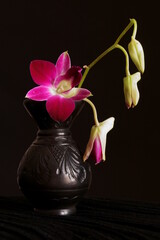 Background with cyclam orchid in a vase
