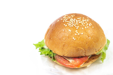 Simple cheeseburger with beef patty, pickles, cheese, tomato, cucumber, onion, lettuce and mustard in tomato sauce isolated on a white background.