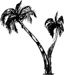 Two Grunge palm trees silhouettes, tropic graphic ink illustration