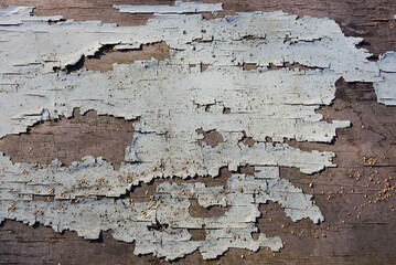texture of an old brown wall from a wooden board with gray shabby paint