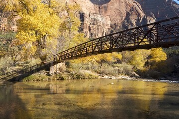 Pedestrian and Equestrian Footbridge over Virgin River Canyon with Autumn Foliage Yellow Leafs Landscape. Scenic Hiking in Zion National Park, Utah USA