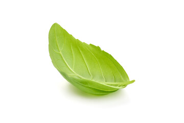 Organic basil leaves, isolated on white background.