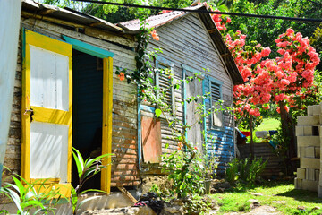 Salto el Limon, Dominican Republic - traditional colorful cottage, house in village - obrazy, fototapety, plakaty