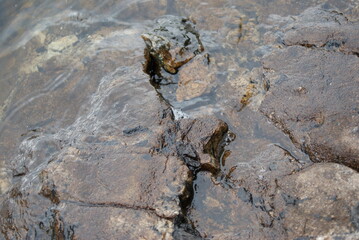 Paysage nature eau