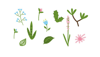 Vector illustration. Set with twigs and flowers