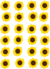 yellow flower background