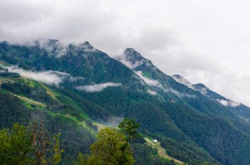 mountain forest in fog in summer rosa khutor