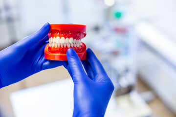 Fototapeta na wymiar Dentist holding a jaw model in professinally equipped stomatologic cabinet