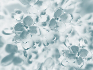 Soft focus pastel flower background featuring abstract