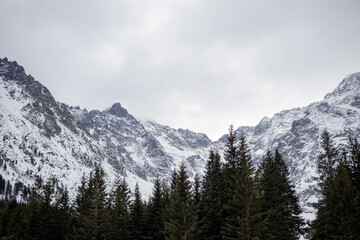 snowy mountains
