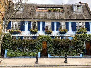 Pembridge road street view in Notting hill.  Facade of old cottage with blue shutters. Fragment of blue facade with shutters and blossoming plants. Ivy is covered the fence and wall.