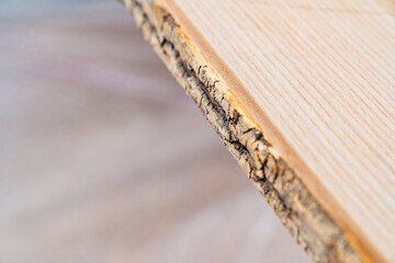 bark of a tree on a wooden board. production of furniture and interior elements