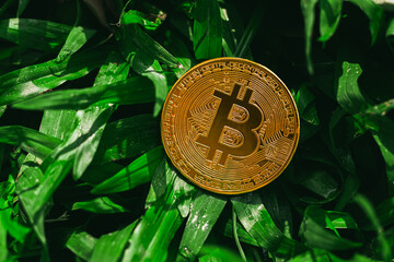 Environmental, Social and Governance. Renewable Cryptocurrency Mining. gold bitcoin on the grass