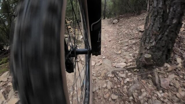 Riding a mountain bike on a single track in a rocky forest front wheel point of view