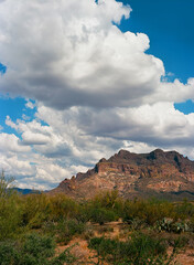 Sonora Desert Arizona