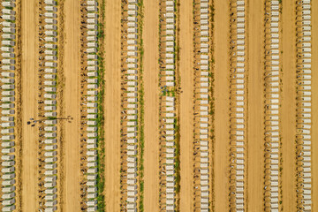 Aerial Shot of Large Cattle raising facility with rows of Calf Pens 