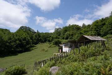 on a beautiful mountain slope where there is a green forest there is an old yard and an old canopy with a roof