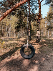 Car tire on a rope on a tree, handmade swing in the autumn forest