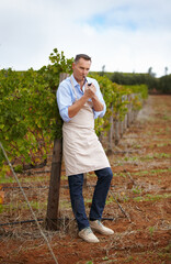 Fototapeta premium Taking a quick break. A mature wine maker taking a break and smoking a pipe in the vineyard.