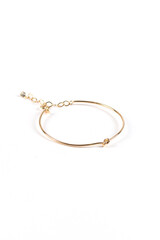 Jewel Gold Silver Jewelry Fashion Golden Silvery Bracelet Collar Earring Ring Emerald Ruby Green Yellow White Background Still