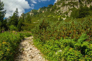 Fototapeta premium Hiking trail in Rila mountains, Bulgaria