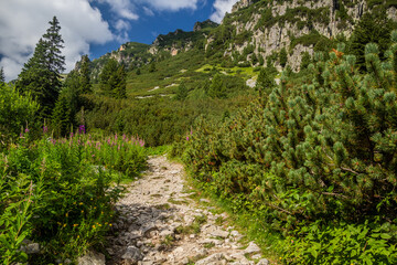 Fototapeta na wymiar Hiking trail in Rila mountains, Bulgaria