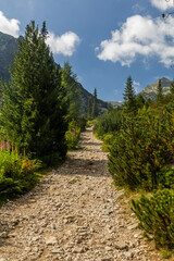 Hiking trail in Rila mountains, Bulgaria