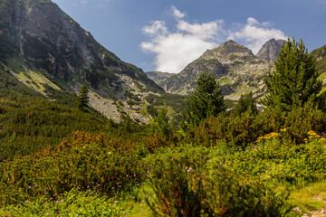 Fototapeta na wymiar Landscape of Rila mountains, Bulgaria