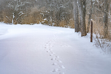 Winter river hike, with fresh snow in morning sunlight, natural outdoors setting, mountains backgrounds, leisure winter activity.