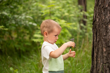 Cute little boy in the forest against the background of grass