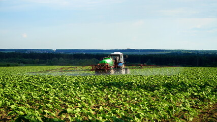 agricultural machine sprays herbicides large field of sunflowers on a sunny day