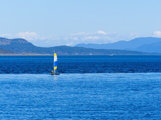 Fototapeta premium Sail boat near the shore of Sidney BC with sail colored in yellow and blue as national flag of Ukraine in sign of support