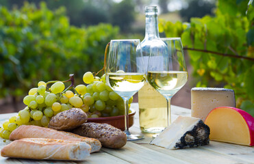 Fototapeta premium Wooden table with two glasses of wine, hard cheese, baguette and grapes on vineyard background