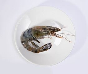 Top view of prawn or shrimp isolated on white plate