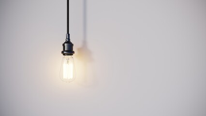 The included light bulb on a white background.