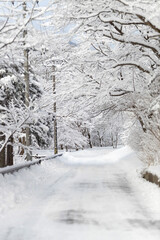 snow covered road