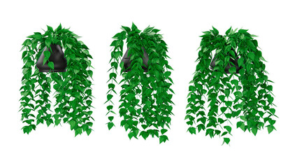 Isometric hanging plant potted 3d rendering