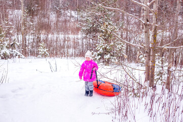 Little girl drags slide-slide cheesecake up snowy hill.