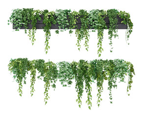 Isometric hanging plant potted 3d rendering