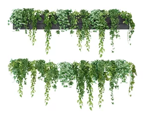 Zelfklevend Fotobehang Isometric hanging plant potted 3d rendering © safri
