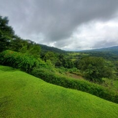 Fototapeta na wymiar clouds over the mountains in the jungle of Costa Rica 
