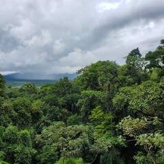 Obraz premium Costa Rican Jungle 