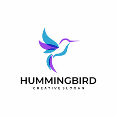 Hummingbird logo design vector template
