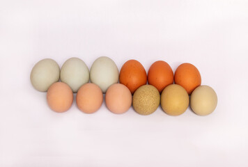 Just in time for Easter a group of twelve multi colored eggs lined up in two rows on an all white background.