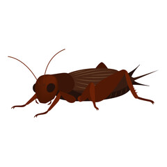 コオロギのイラスト