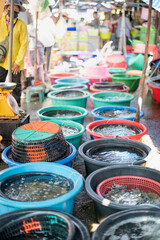 Fresh seafood catch from the sea by fisherman and sell at the seafood market in the Thailand.