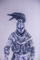 fighter with a crossbow and a raven