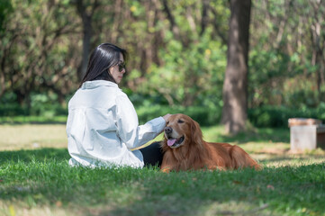 Golden Retriever accompanies owner on grass in park