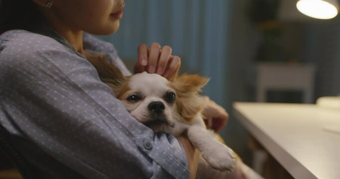Pet as child lifestyle. Dog stress relief therapy for workforce.