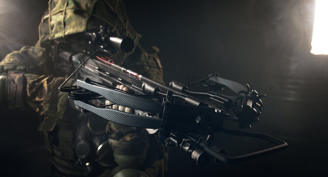 fighter with a crossbow and a raven